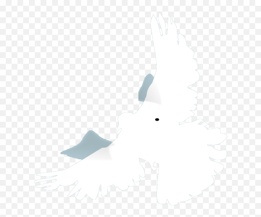 White Dove Png Svg Clip Art For Web - Buona Pasqua 2019 Gif Emoji,Dove Curls Emojis