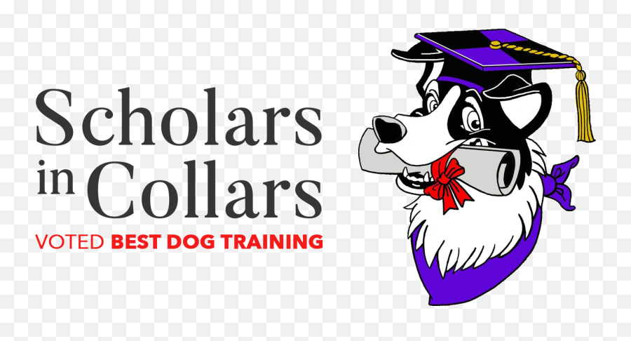 Frisbee Clipart Dog Play Frisbee Dog Play Transparent Free - Binoculars Pronounce Emoji,Dog With Flat Face Emotion