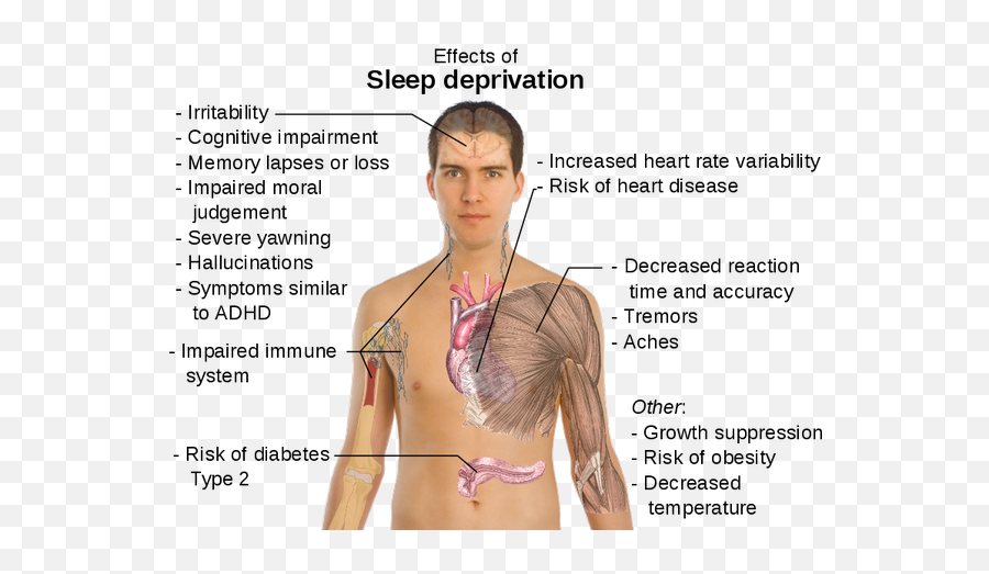 2015 Siowfa15 Science In Our World Certainty And - Sleep And Physical Health Emoji,Plutchik’s Color Wheel Of Emotion For Sale