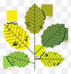 Owen Davey Illustration - Leaves Pantone Emoji,Guac Flock Kik Emojis