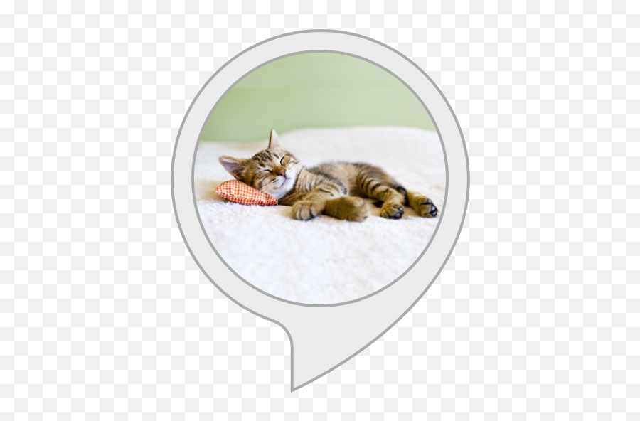 Amazoncom Calm My Cat Alexa Skills - Cute Pets Relaxing Emoji,Cat Ear Emotions