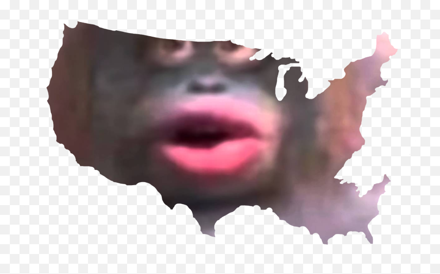 Última Uh Oh Stinky Monkey Transparent - Will Win Us Election 2020 Emoji,Le Monke Emoji