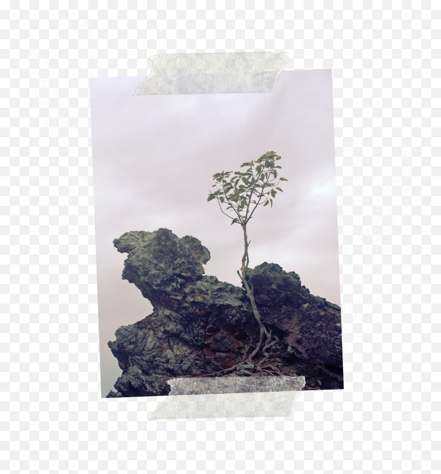 About 1 U2014 Resilient You Art Therapy - Art Therapist Calgary Emoji,Art An Emotion