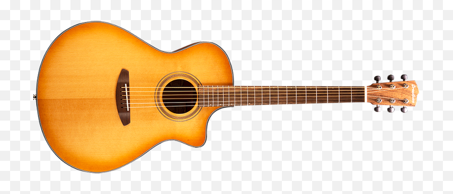 Breedlove Organic Collection Signature Concerto Cutaway Ce Emoji,Instrument Question Emoji