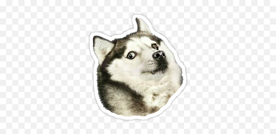 Husky Dogeu0027 Sticker By Rj Lackie Pegatinas Bonitas - Husky Doge Emoji,Siberian Husky Emoji