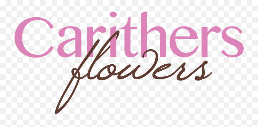 Monte Casino Aster Monte Casino Aster Flower Monte Casino - Carithers Flowers Emoji,How To Make Facebook Flower Emoticons