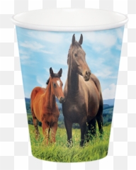 Horse And Pony Cone Shaped Party Hats 8 Pack - Amscan Serviette De Table Cheval Emoji,Bearded Pony Emoticons