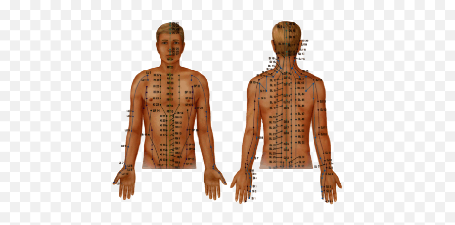 Meridians - Acupuncture Points Emoji,Chinese Medicine Emotions Organs Chart