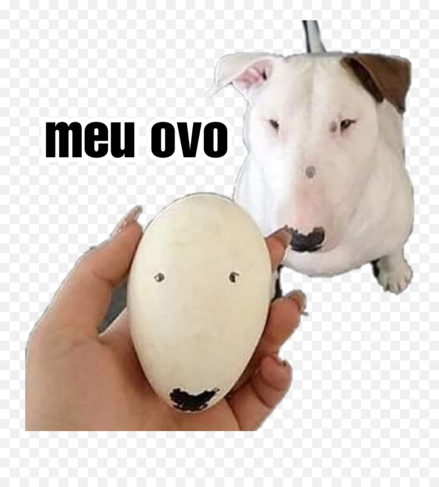 Ovo Dog Bullterrier Sticker - Prensario Emoji,How To Get The Ovo Emoji