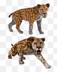 Smilodon Sabertooth Sabertoothed - Saber Toothed Cat Extinct Emoji,Facebook Sabertooth Tiger Emojis