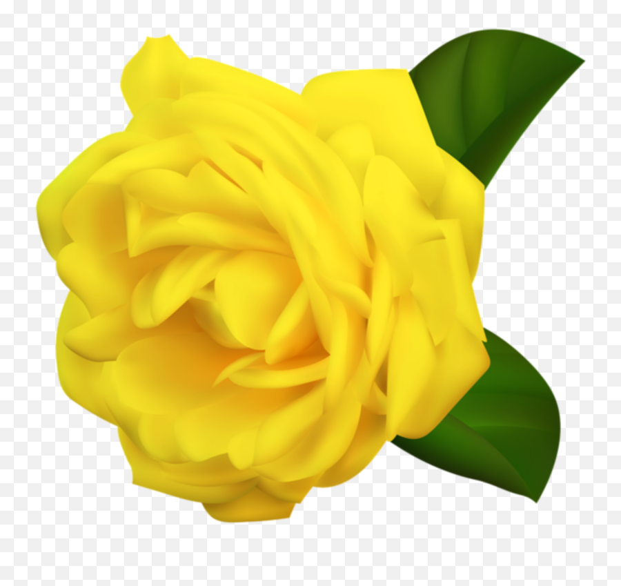 Mq Yellow Rose Roses Sticker - Fresh Emoji,Yellow Rose Emoji