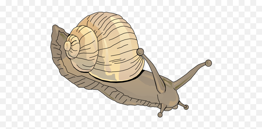 Snails Clip Art Free - Clip Art Library Emoji,Facebook Messenger Snail Emoticon