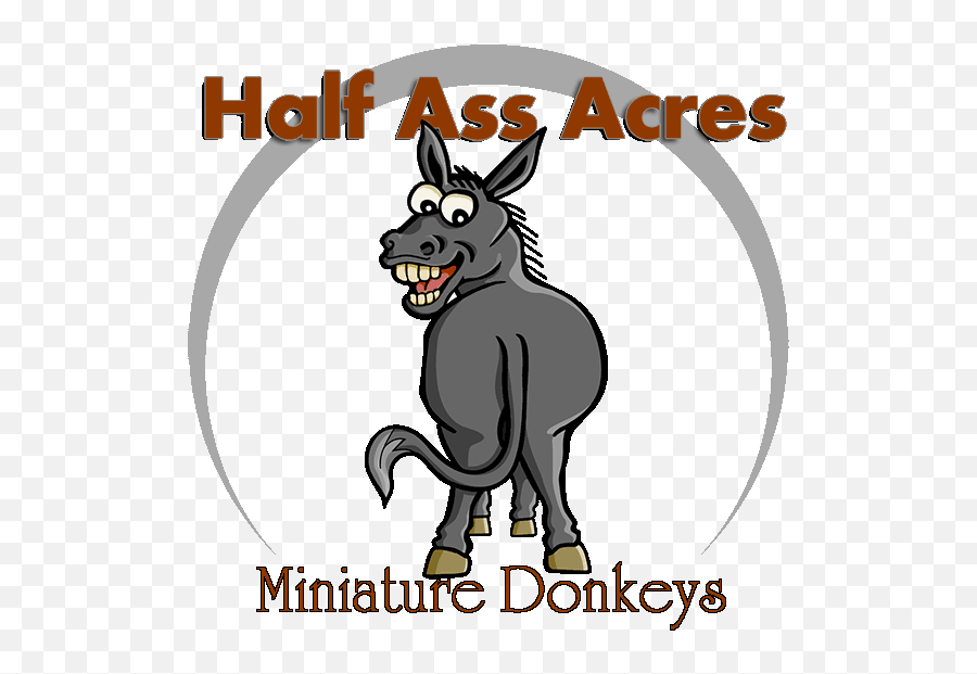 Pin - Donkey Ass Logo Transparent Emoji,Cat Cow Horse World Emoji