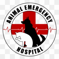 Emotional Distress And Health Issues In Pets - Animal Emoji,Emotion Timid