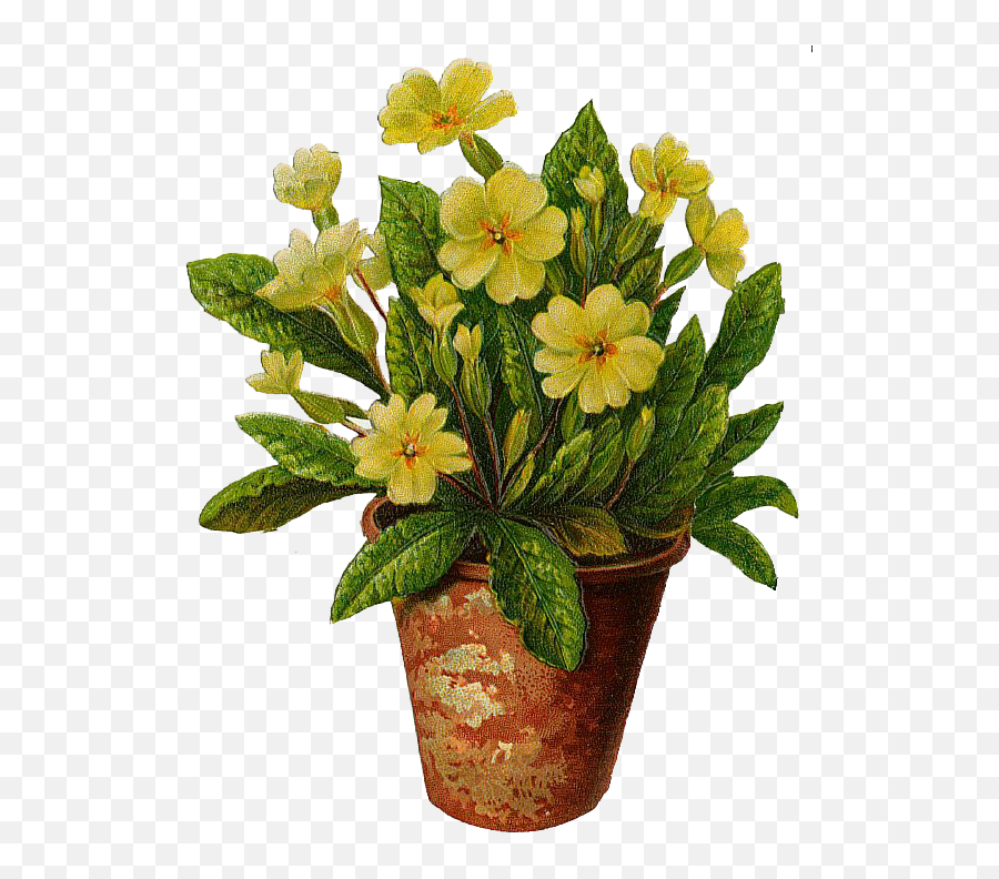 Free Potted Flowers Png Download Free Potted Flowers Png Emoji,Flower In Pot Emoji