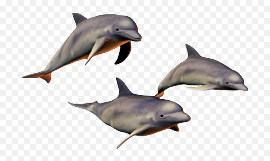 The Most Edited - Common Bottlenose Dolphin Emoji,Dolphin Emoji Pillow