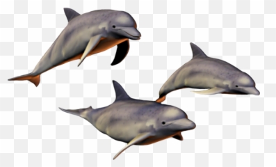 The Most Edited - Common Bottlenose Dolphin Emoji,Dolphin Emoji Pillow