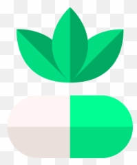 Online Holistic Healing Wellness - Iconos Png Medicina Natural Emoji,Emotion Code Los Angeles