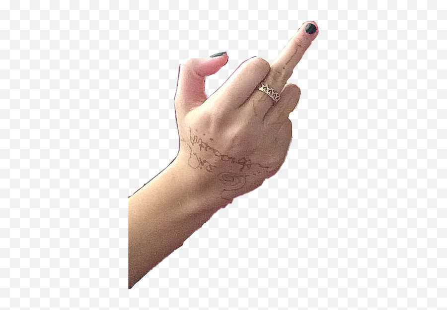 The Most Edited Middlefinger Picsart - Middle Finger With Arm Png Emoji,:middle_finger: Emoji