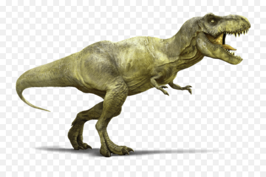 Dinosaur Dinosaurs T - Tyrannosaurus Rex Emoji,T Rex Emoji