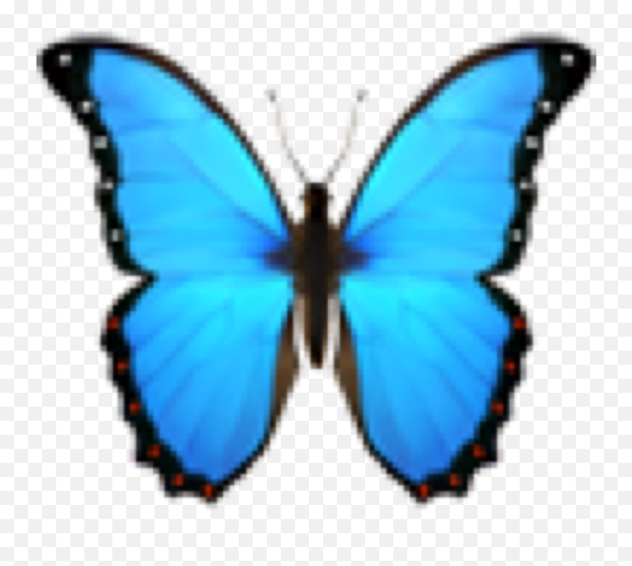 The Coolest Emoji Stickers - Girly,Emoticon Blue Butterfly