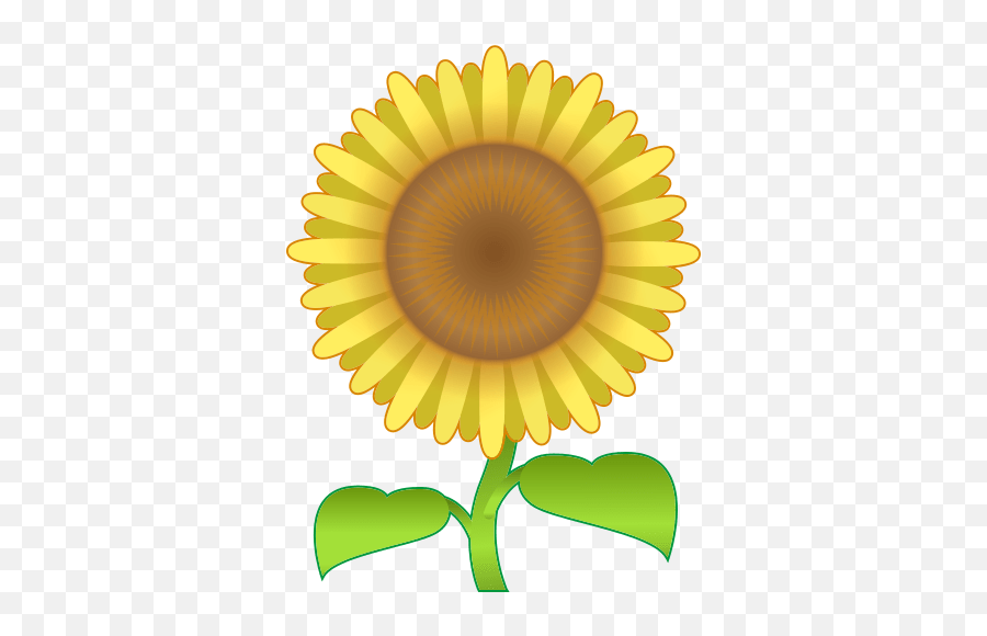Sunflower - Grand Global Hotel Makerere Kikoni Emoji,Sunflower Emoji