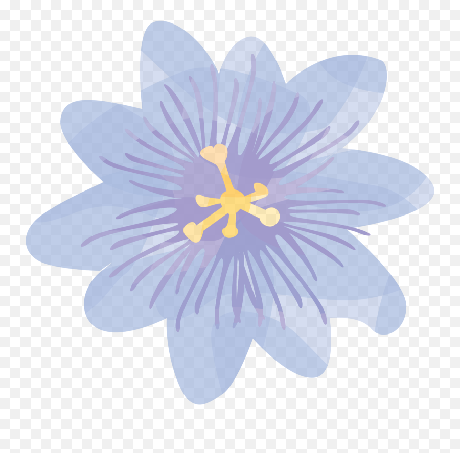 Which Flowers Are Good For Skin U0026 Why Are They In Our Beauty - Crocus Emoji,Emoji Pictures Flowers