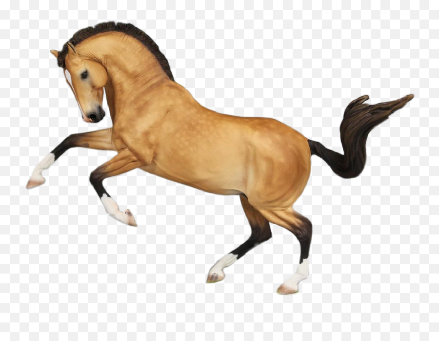Largest Collection Of Free - Toedit Pferde Stickers Emoji,Carousel Horse Emoji