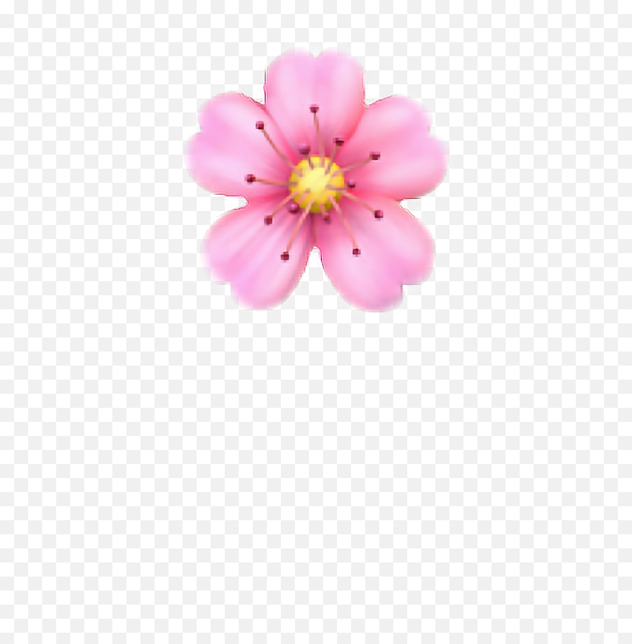 Pink Flower Emoji Png - Cherry Blossom Emoji Png,Cherry Emoji