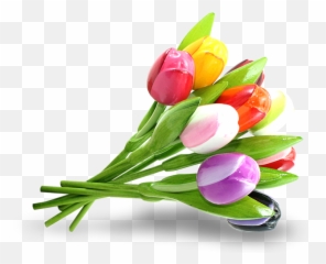 Tulip Bouquet Png U0026 Free Tulip Bouquetpng Transparent - Houten Tulpen Emoji,Boquet Emoji