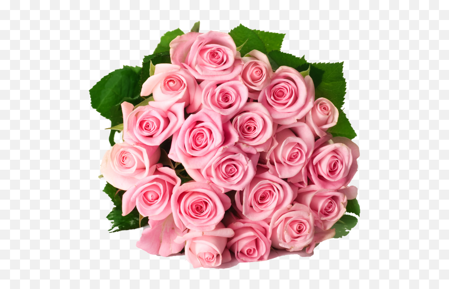 Bouquet Of Pink Roses Transparent Png Image - Freepngdesigncom Emoji,Flower Bundle Emoji