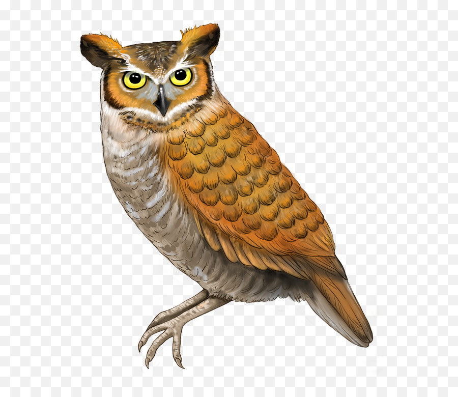 Weu0027re Talon Everyone About Our Unique Owl Emoji - Emoji Owl,Bird Emoji
