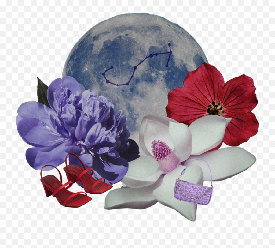 The By Far Horoscope Scorpio Season - Hollyhocks Emoji,New Moon Emotions