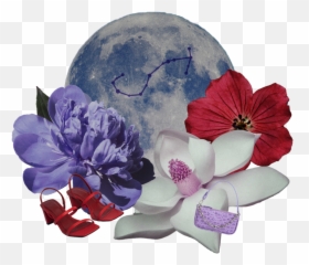 The By Far Horoscope Scorpio Season - Hollyhocks Emoji,New Moon Emotions