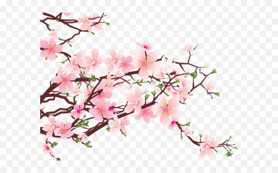 Cherry Blossom Tree Png Transparent Png - Ikigai Book In Hindi Emoji,Cherry Blossom Emoji