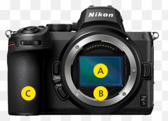 Full - Nikon Z5 Emoji,Emotion Creators Camera Display