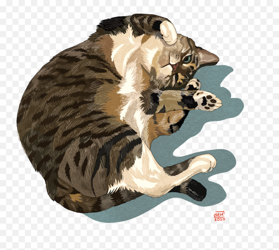 Singha Hon Emoji,Cat Emotions Illustration