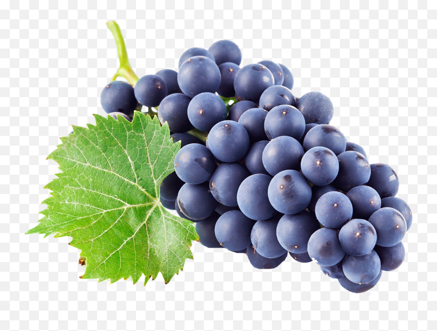 Black Grapes Png Download Image Png Arts - Purple Grapes Emoji,Grapes Emoji Transparent