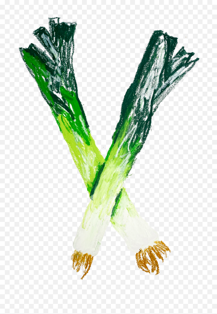 Leeks - The Grandes Dames Of Vegetables U2014 The Thoughtful Table Emoji,Can Of Soup Emoji