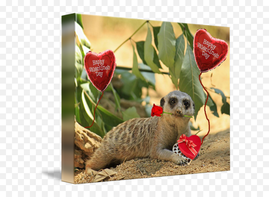 Sexy Valentine Meerkat - Meerkat Valentine Emoji,Emotion For Sexy