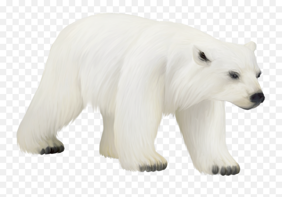 Cute Polar Bear Emoji - Clip Art Library Png Clipart Polar Bear Png,Bear Emoji
