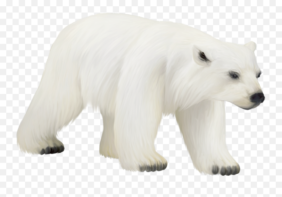 Cute Polar Bear Emoji - Clip Art Library Png Clipart Polar Bear Png,Bear Emoji Cute Polar Bear Emoji - Clip Art Library Png Clipart Polar Bear Png,Bear Emoji