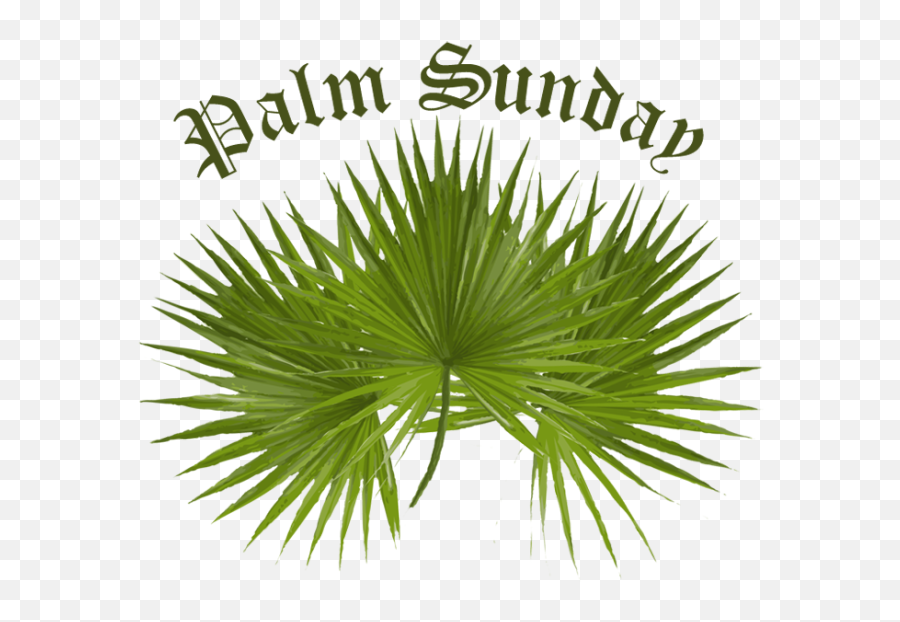 Palm Sunday Clip Art 3 - Palm Trees Emoji,Palm Sunday Emoji