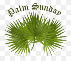 Palm Sunday Clip Art 3 - Palm Trees Emoji,Palm Sunday Emoji