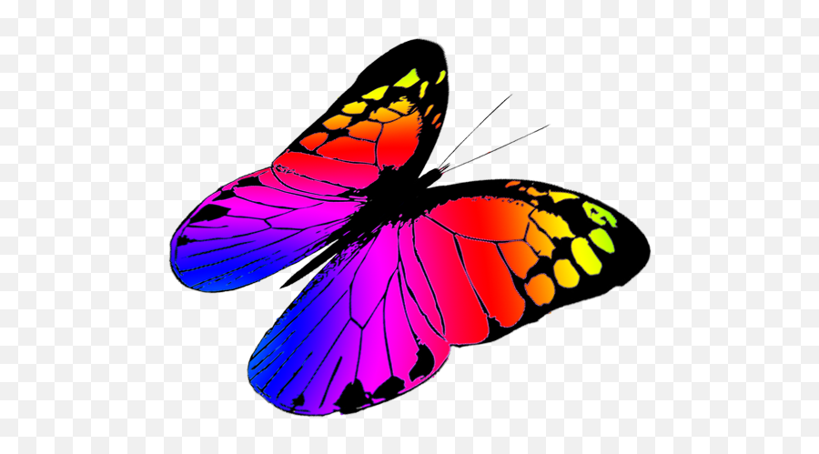 Butterflies Pink Butterfly Clipart Free Images 3 - Clipartix Emoji,Fowers And Butterfly Emojis