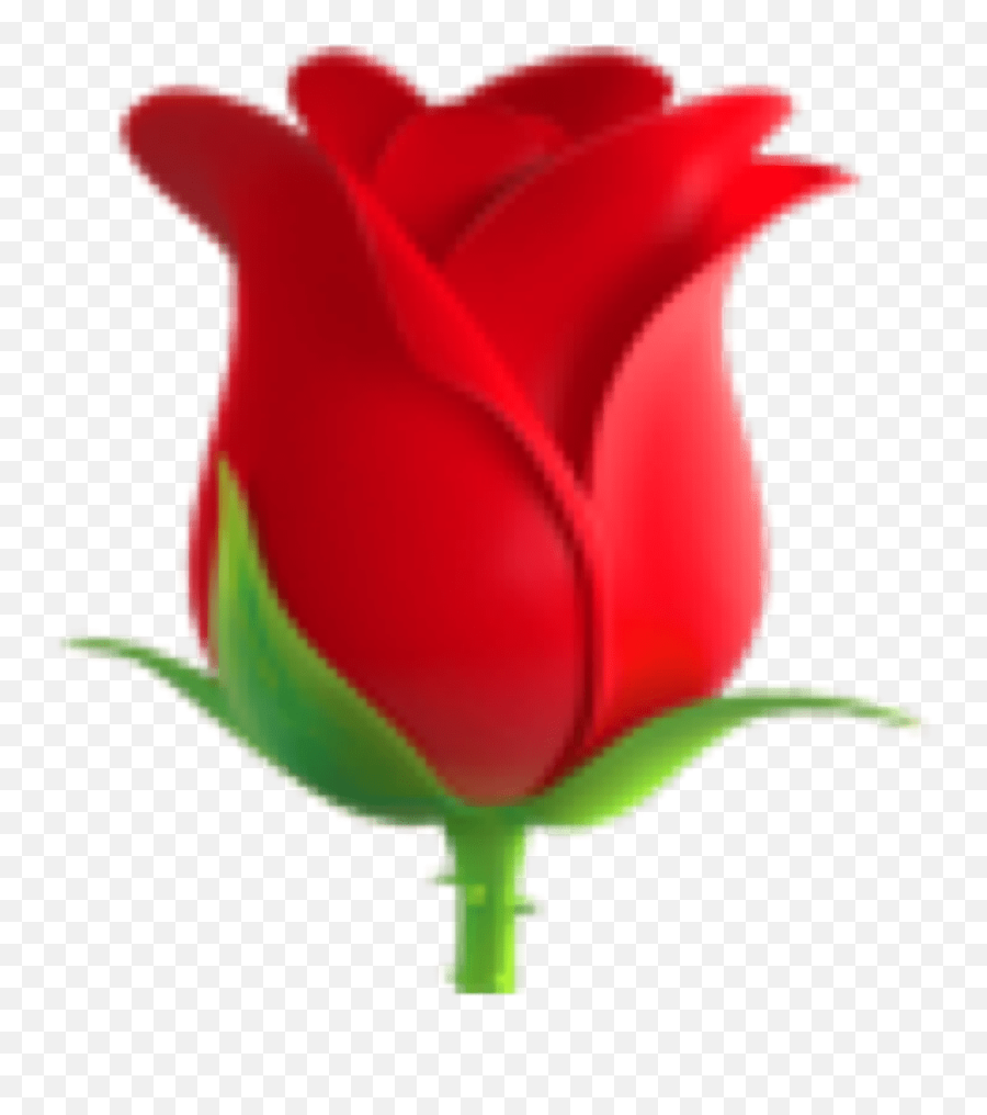 Red Rose Emoji 296769502142211 By Norak,Rose Emoticon For Facebook
