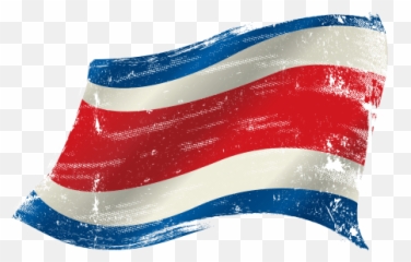Download Why Costa Rica - Puerto Rico Flag Bird Png Image Emoji,Usa Flag Emoji
