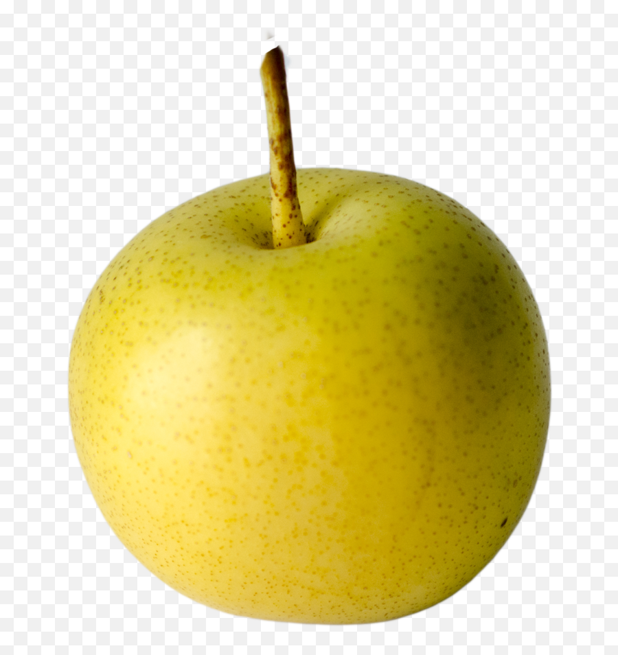 Vermont - Grown Fruit U2014 Champlain Orchards Emoji,Apple Wet Emoji