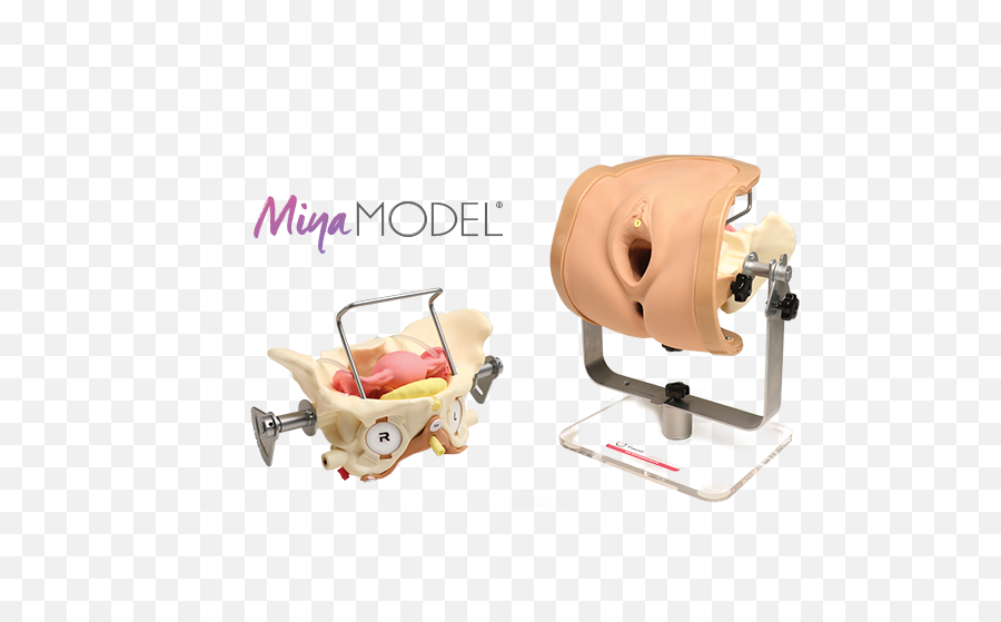The Miya Model U2013 Miyazaki Enterprises Emoji,Anatomcally Correct Emojis
