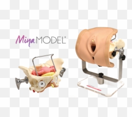 The Miya Model U2013 Miyazaki Enterprises Emoji,Anatomcally Correct Emojis